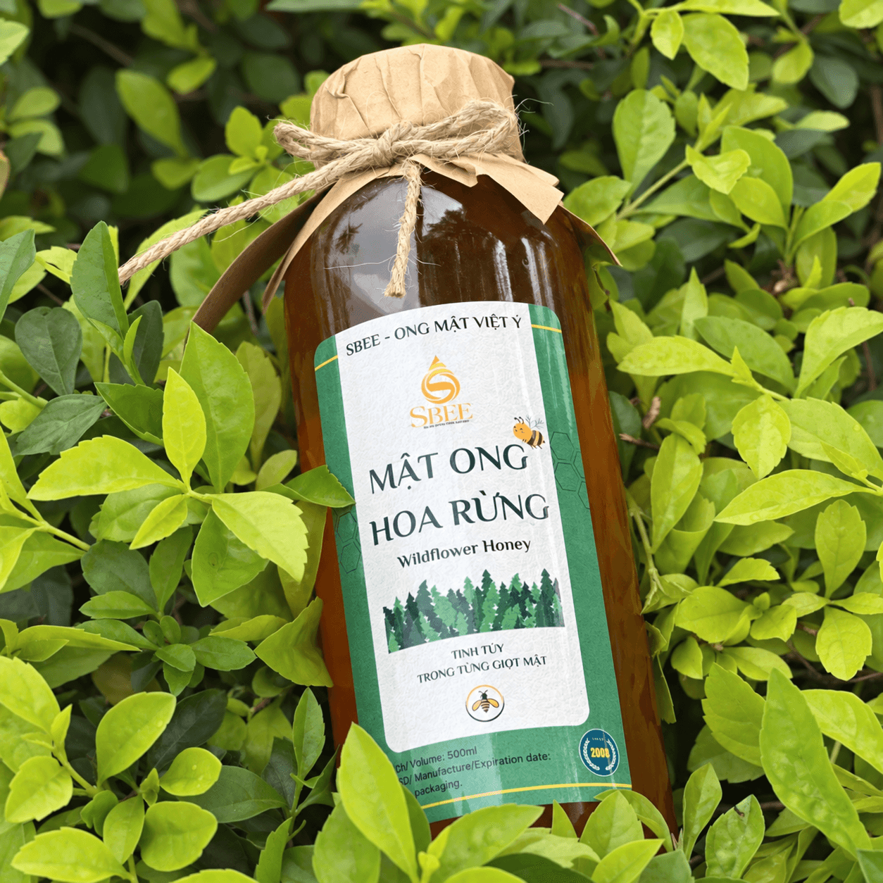 Mật ong hoa rừng - Chai 500ml