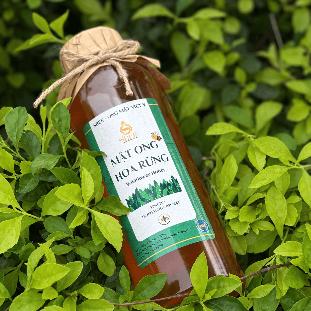Mật ong hoa rừng - Chai 500ml