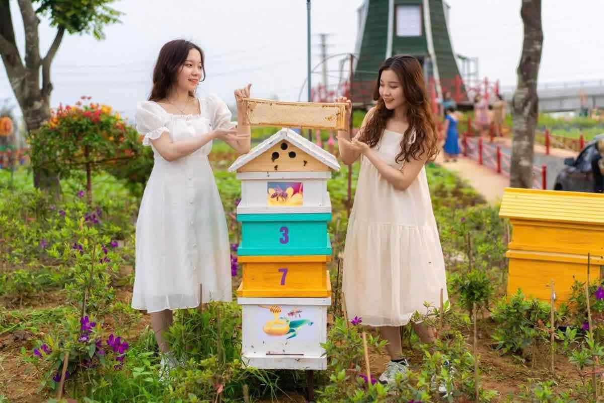 Khách tham quan trại ong SBee Farm